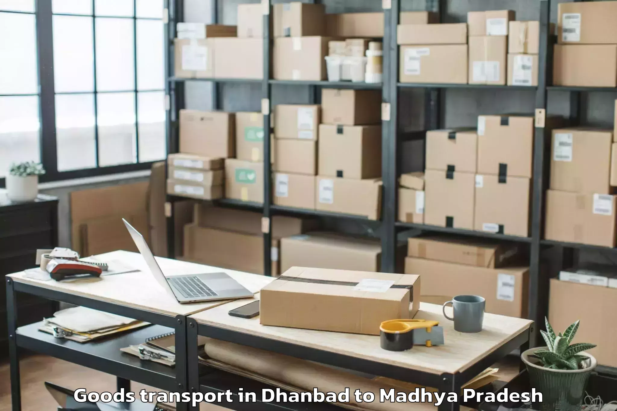 Expert Dhanbad to Aron Goods Transport